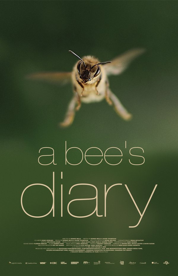 A bees diary_web.jpg