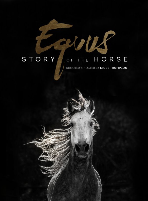 Equus Portrait Card